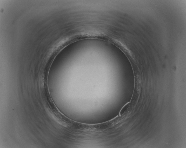 X0000084600631200703091930