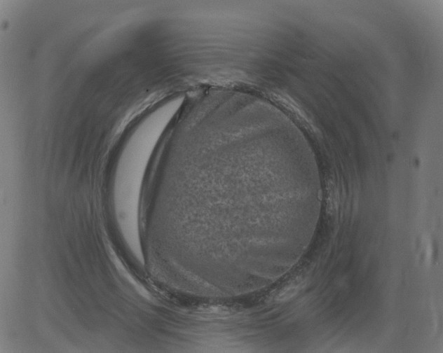 X0000084600634200703091930