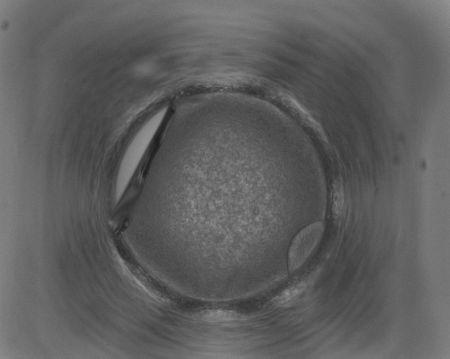 X0000084600637200703091930