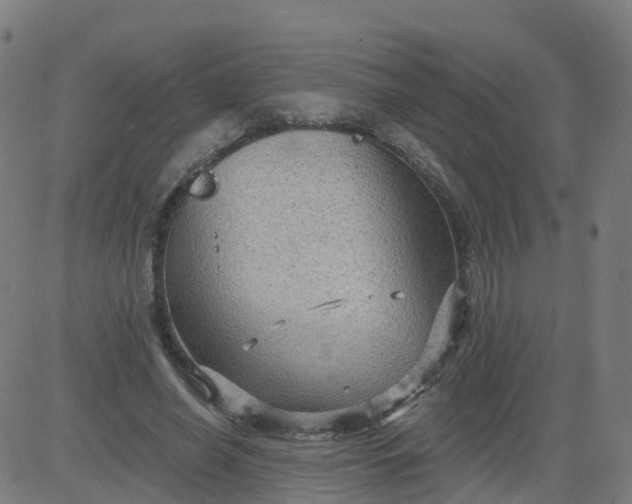 X0000084600638200703091930