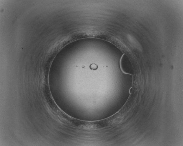 X0000084600639200703091930