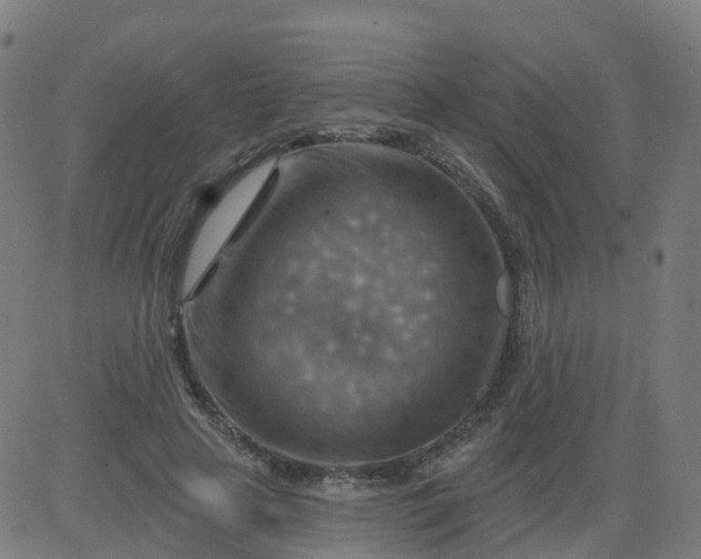 X0000084600641200703091930