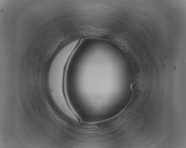 X0000084600642200703091930