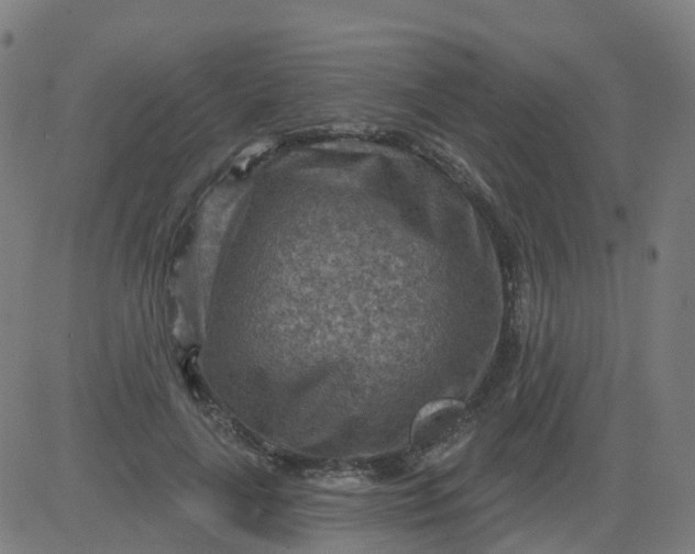 X0000084600643200703091930