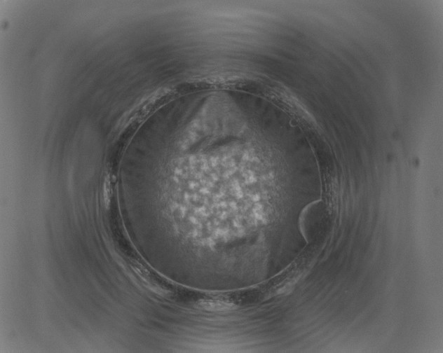 X0000084600644200703091930