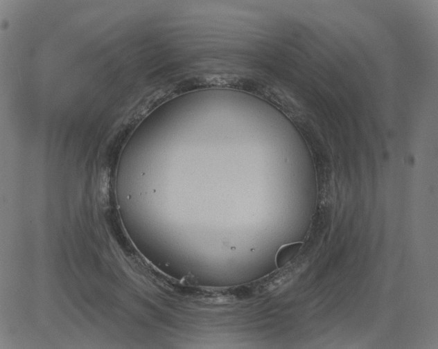 X0000084600646200703091930