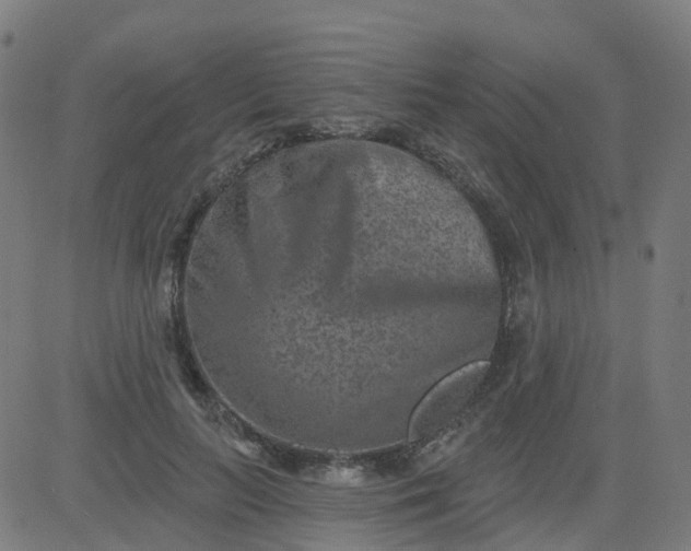 X0000084600647200703091930