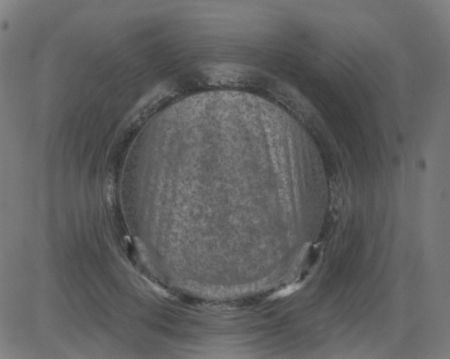 X0000084600648200703091930