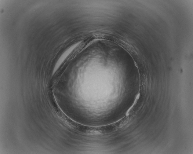 X0000084600649200703091930