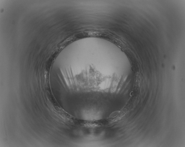 X0000084600650200703091930