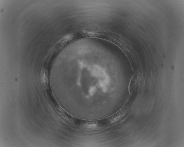 X0000084600651200703091930