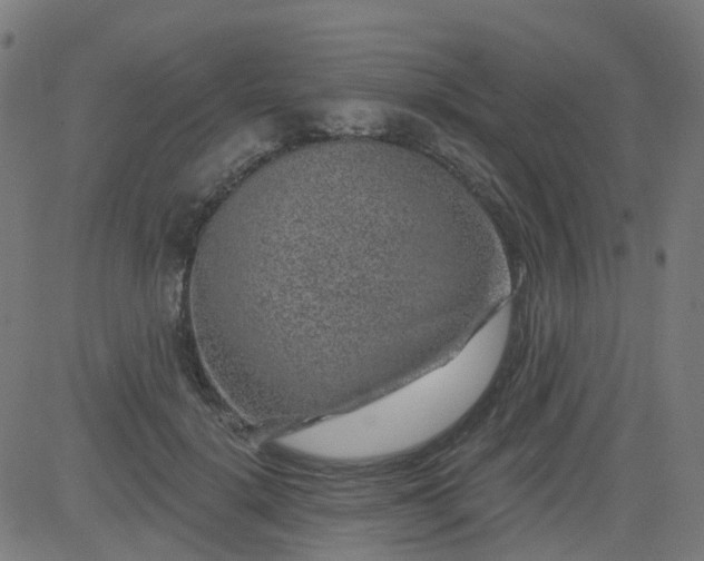 X0000084600652200703091930