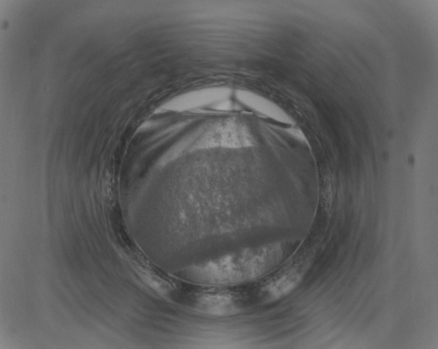 X0000084600653200703091930