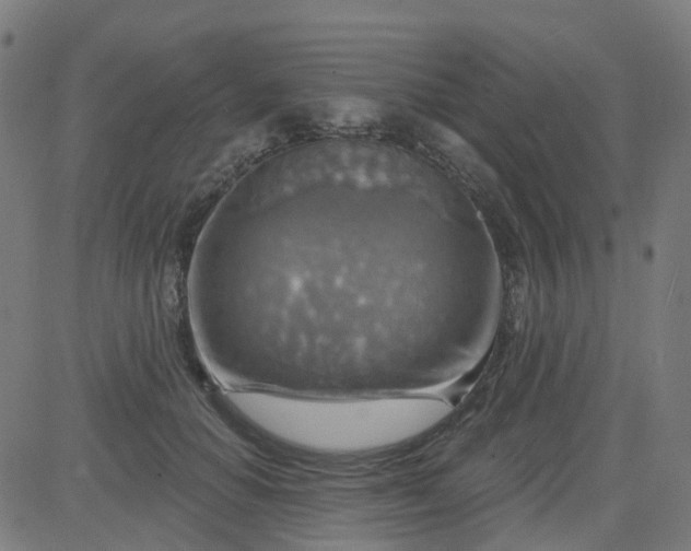 X0000084600654200703091930