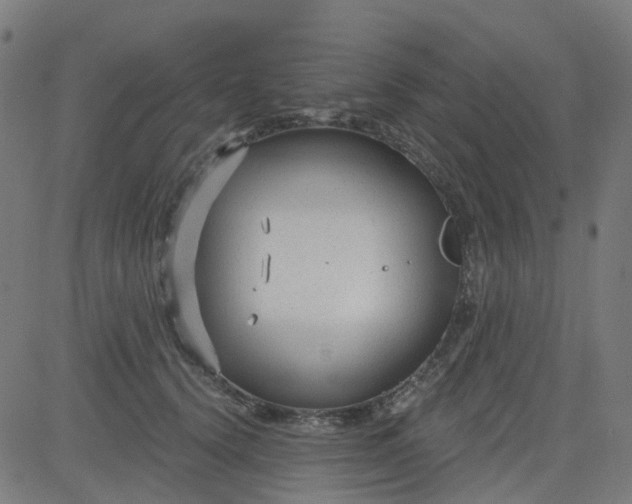 X0000084600656200703091930