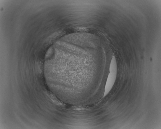 X0000084600658200703091930