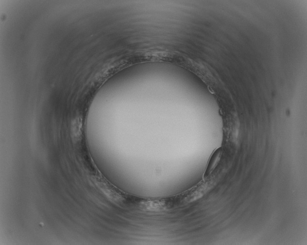 X0000084600660200703091930