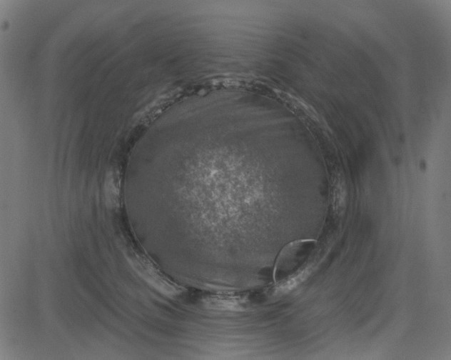 X0000084600661200703091930