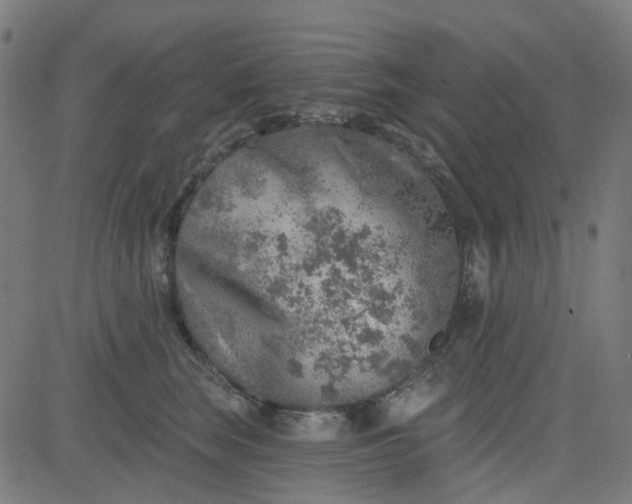 X0000084600663200703091930