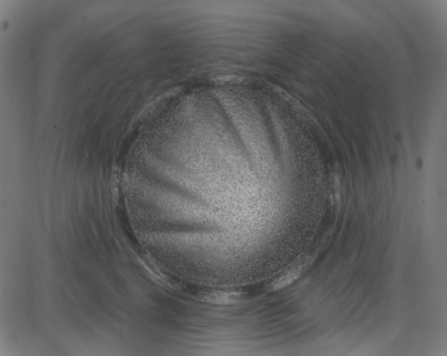 X0000084600664200703091930