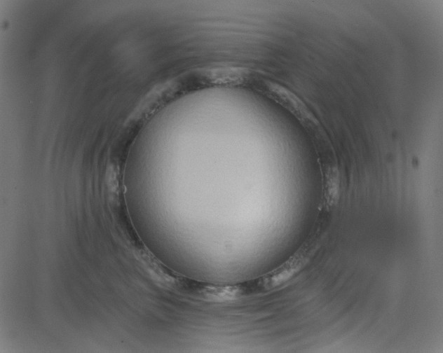 X0000084600667200703091930