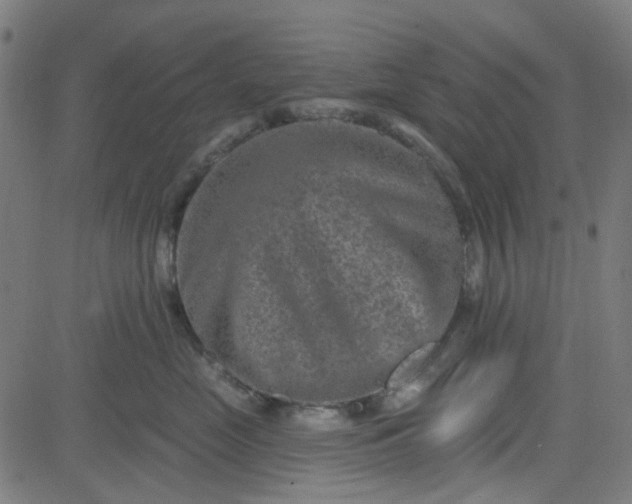 X0000084600669200703091930