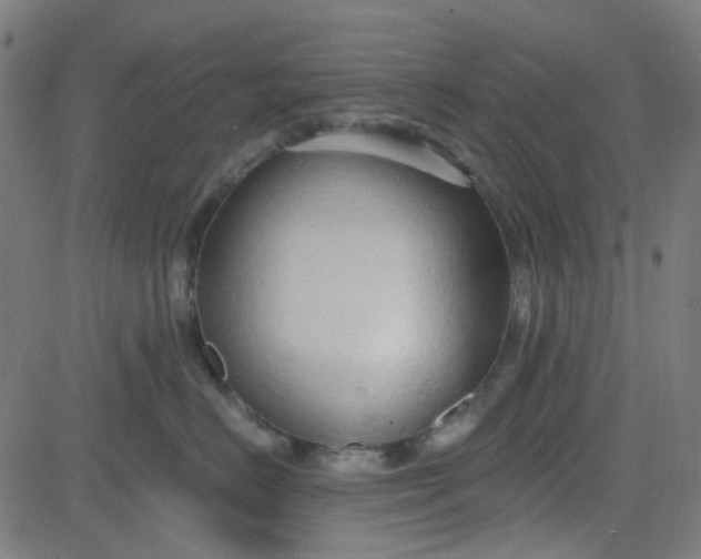 X0000084600670200703091930