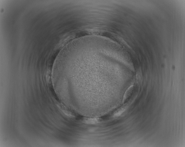 X0000084600671200703091930