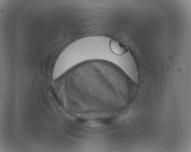 X0000084600672200703091930