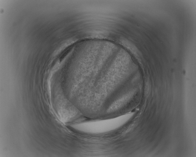 X0000084600673200703091929