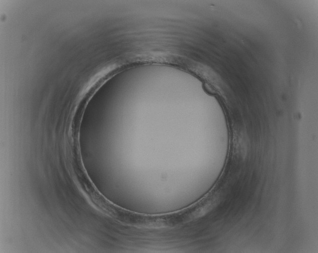 X0000084600674200703091929