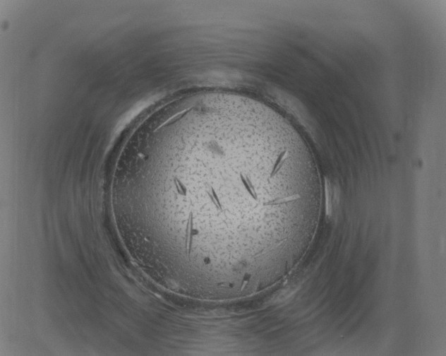 X0000084600675200703091929