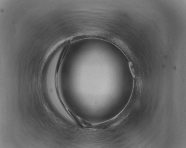 X0000084600676200703091929