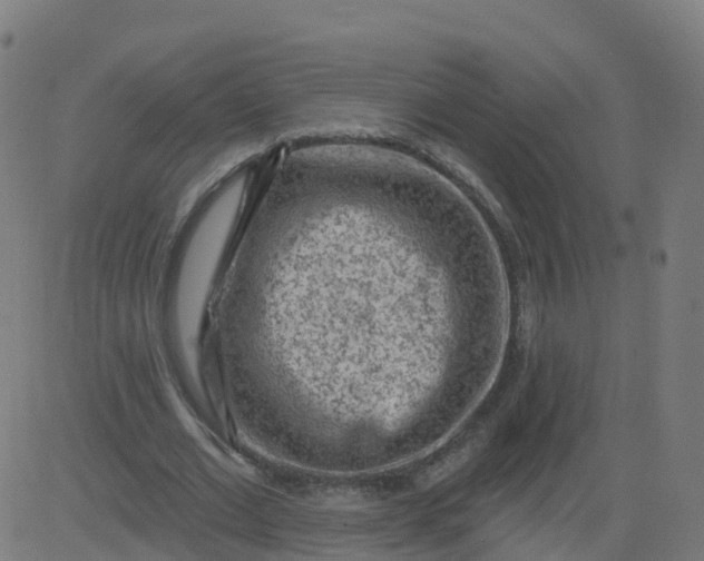 X0000084600677200703091929