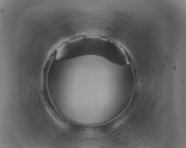 X0000084600678200703091929