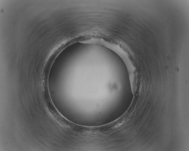 X0000084600680200703091929