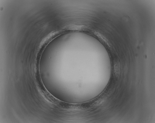 X0000084600682200703091929