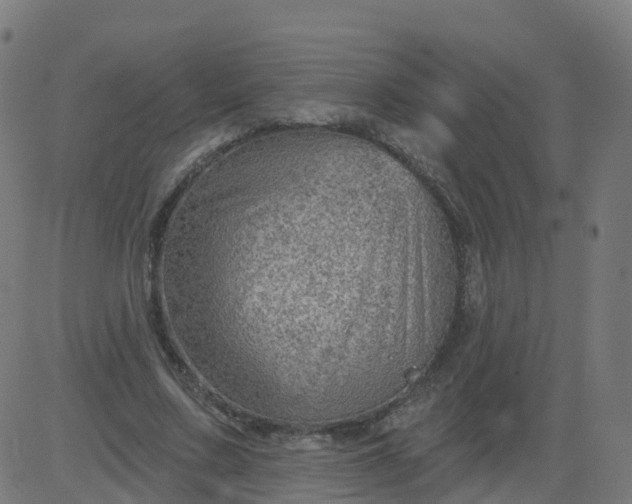 X0000084600683200703091929