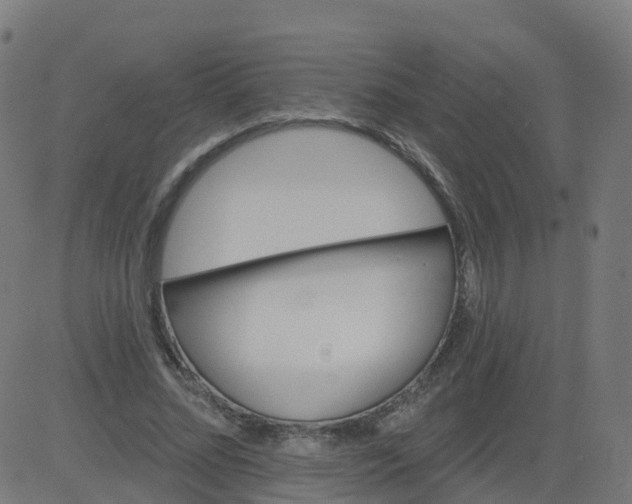 X0000084600684200703091929