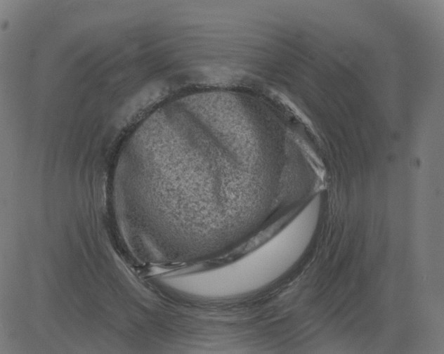 X0000084600685200703091929