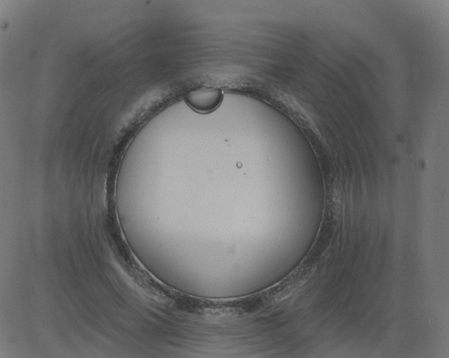 X0000084600686200703091929