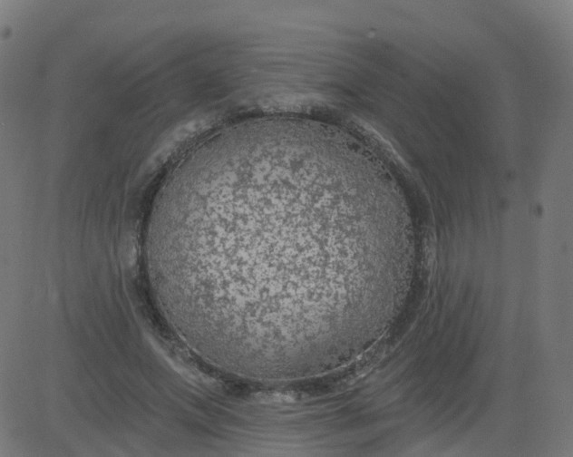 X0000084600687200703091929