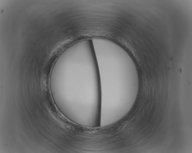 X0000084600688200703091929