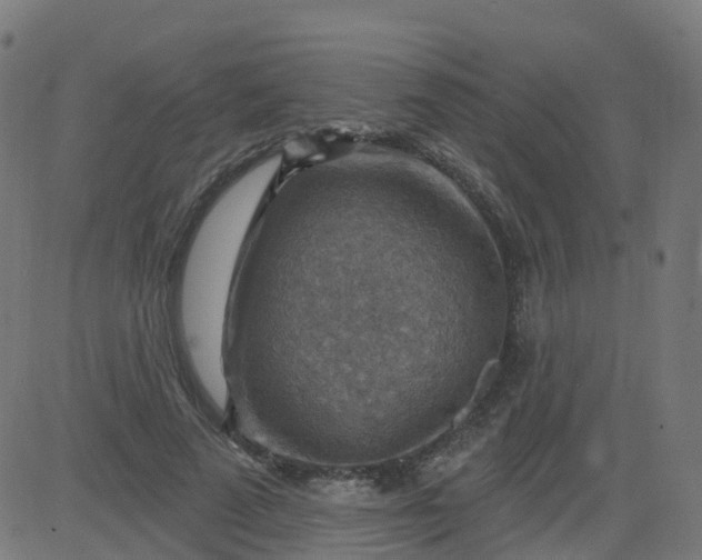 X0000084600689200703091929