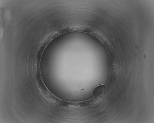 X0000084600690200703091929