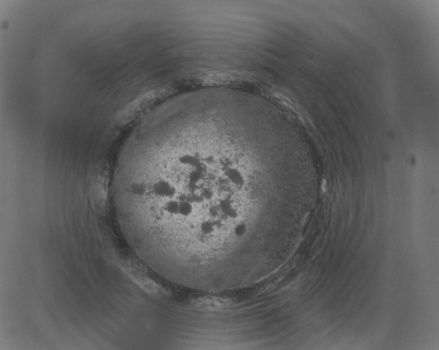 X0000084600691200703091929