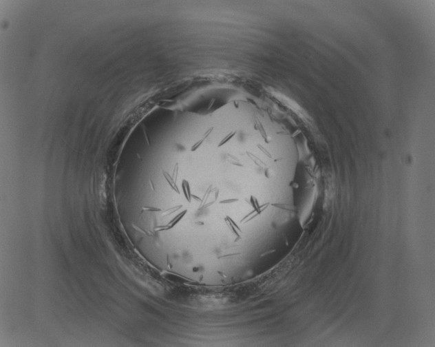 X0000084600692200703091929