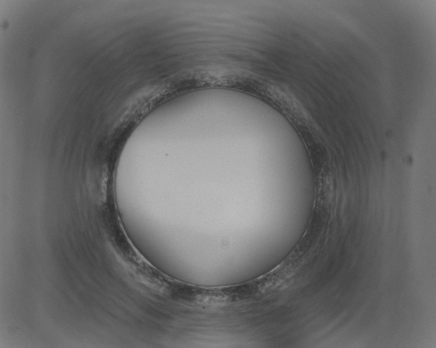 X0000084600694200703091929