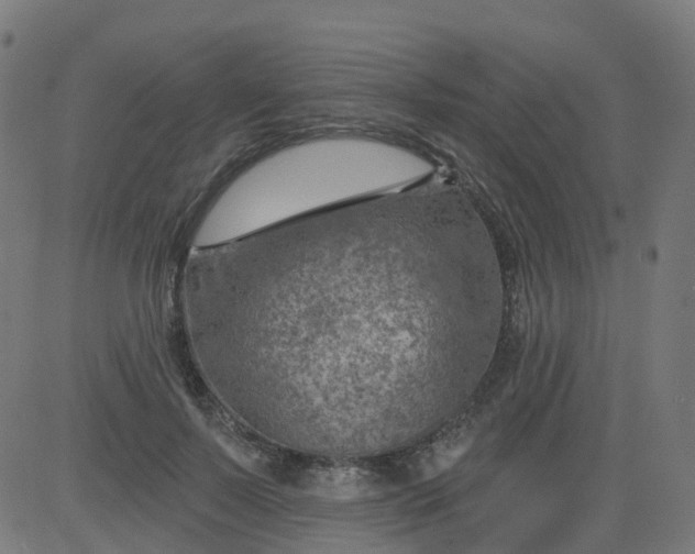 X0000084600695200703091929