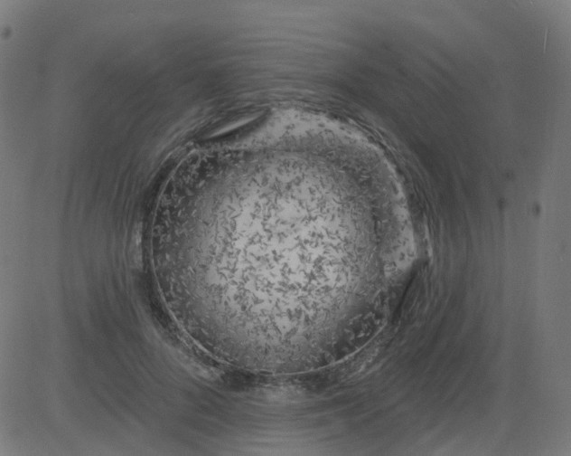 X0000084600696200703091929